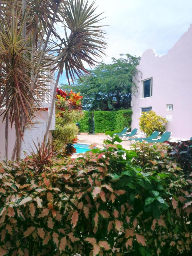 Agua Clara Eco Suites Oranjestad Ngoại thất bức ảnh